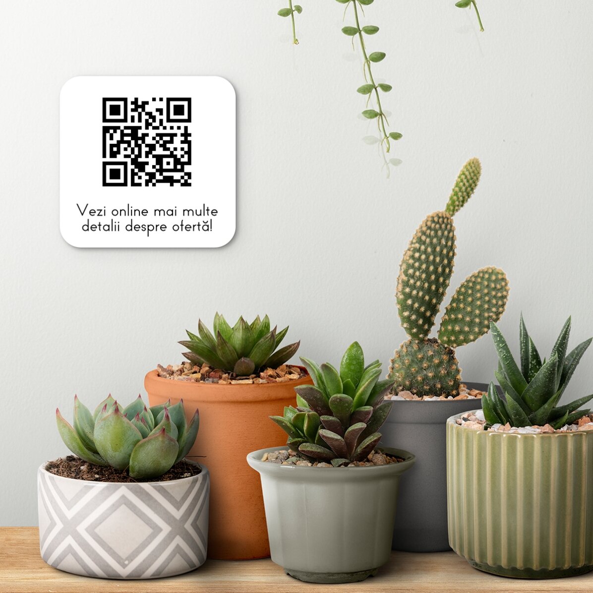 Placa personalizada con código QR y texto