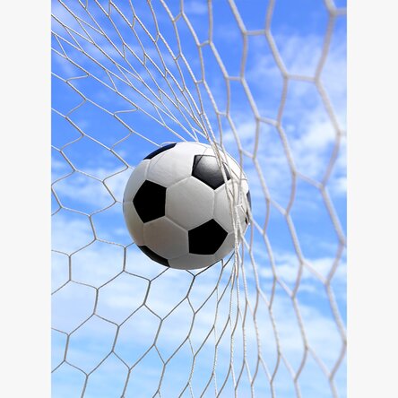 Poster Ball in the football goal