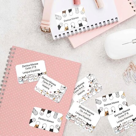 Lote de 8 pegatinas (etiquetas autoadhesivas) personalizadas para el colegio - Kitty