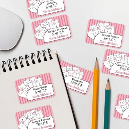 Lote de 8 pegatinas (etiquetas autoadhesivas) personalizadas con texto - Kitty