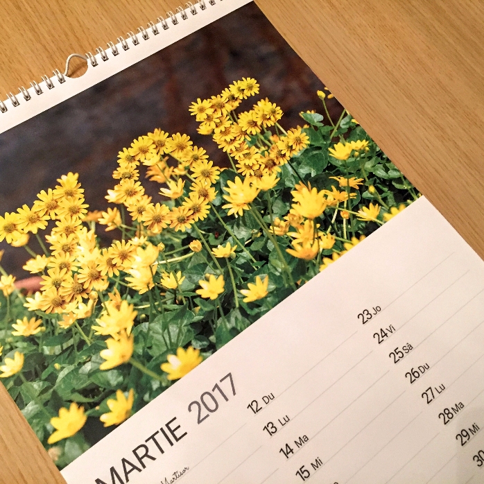 Calendario personalizado - primera edición