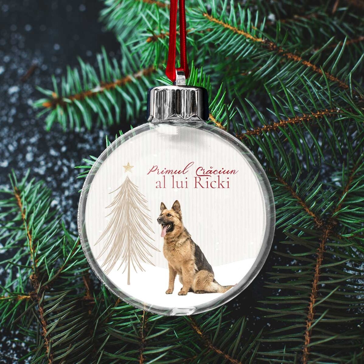 Customised double-sided transparent globe with a photo and message - First Furry Christmas
