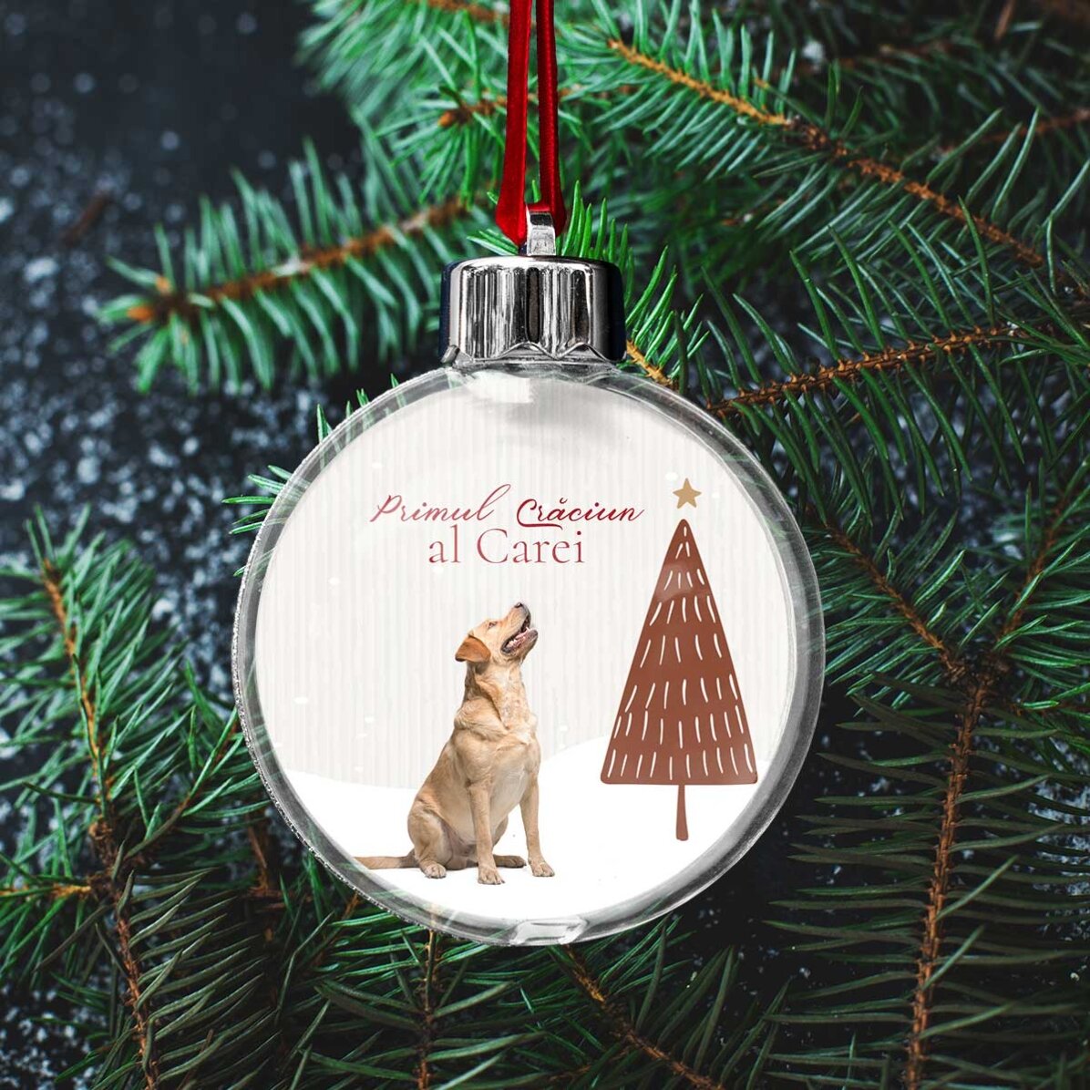 Customised double-sided transparent globe with a photo and message - First Furry Christmas