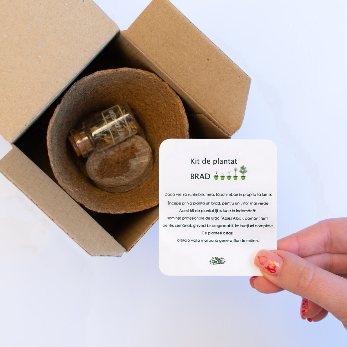 Kit para plantar semillas de abeto en una cajita personalizada con foto y mensaje - De parte de Papá