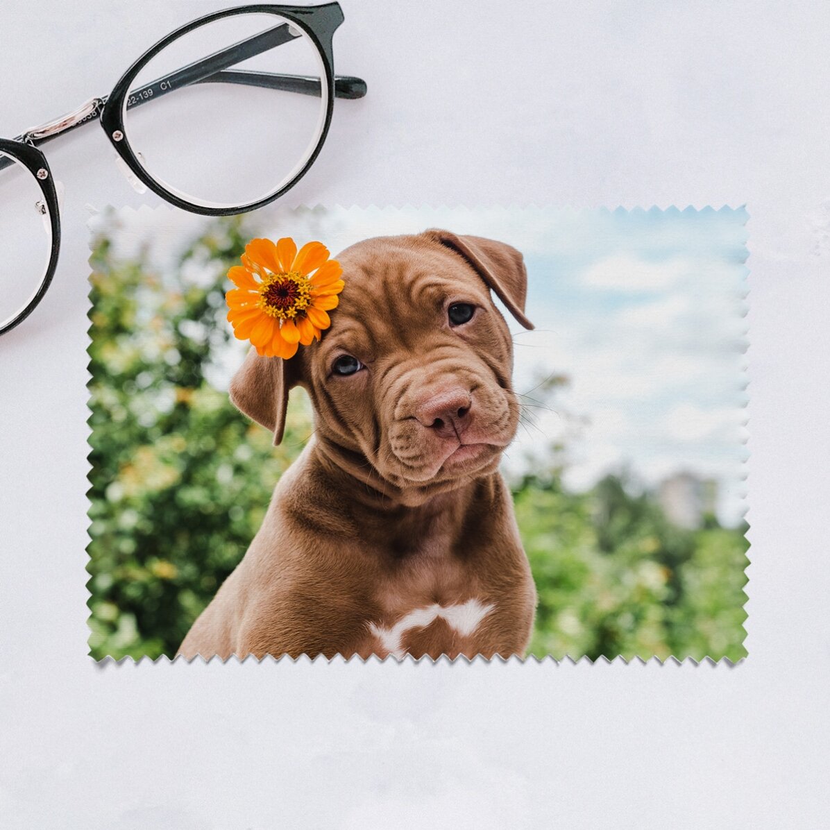 Paño personalizado con una foto para limpiar pantallas y gafas