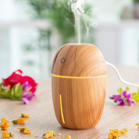 Mini humidifier and aroma diffuser for the room