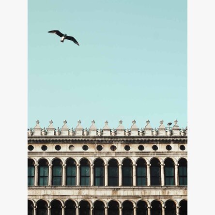 Póster de un pájaro y un edificio