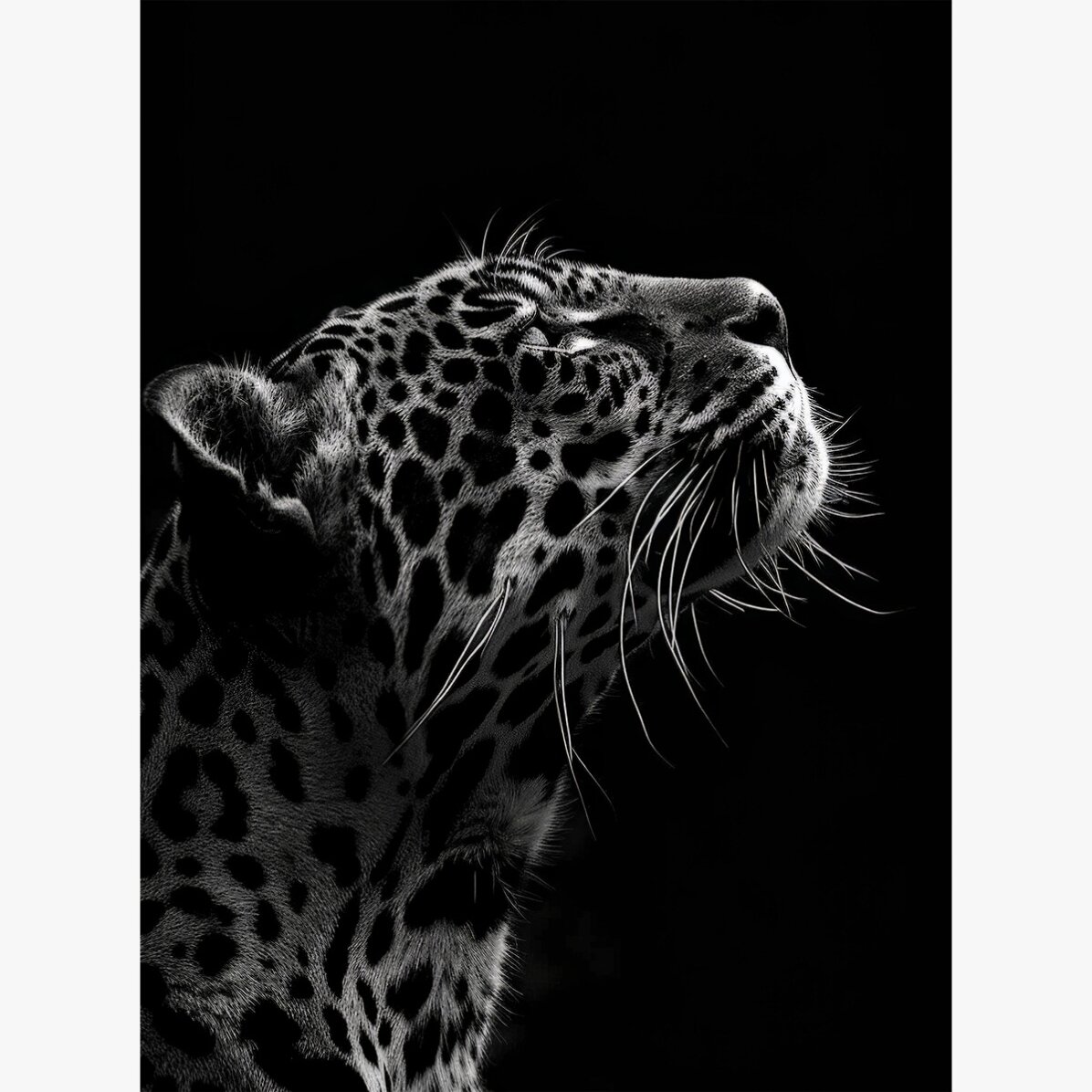 Póster del Jaguar en blanco y negro