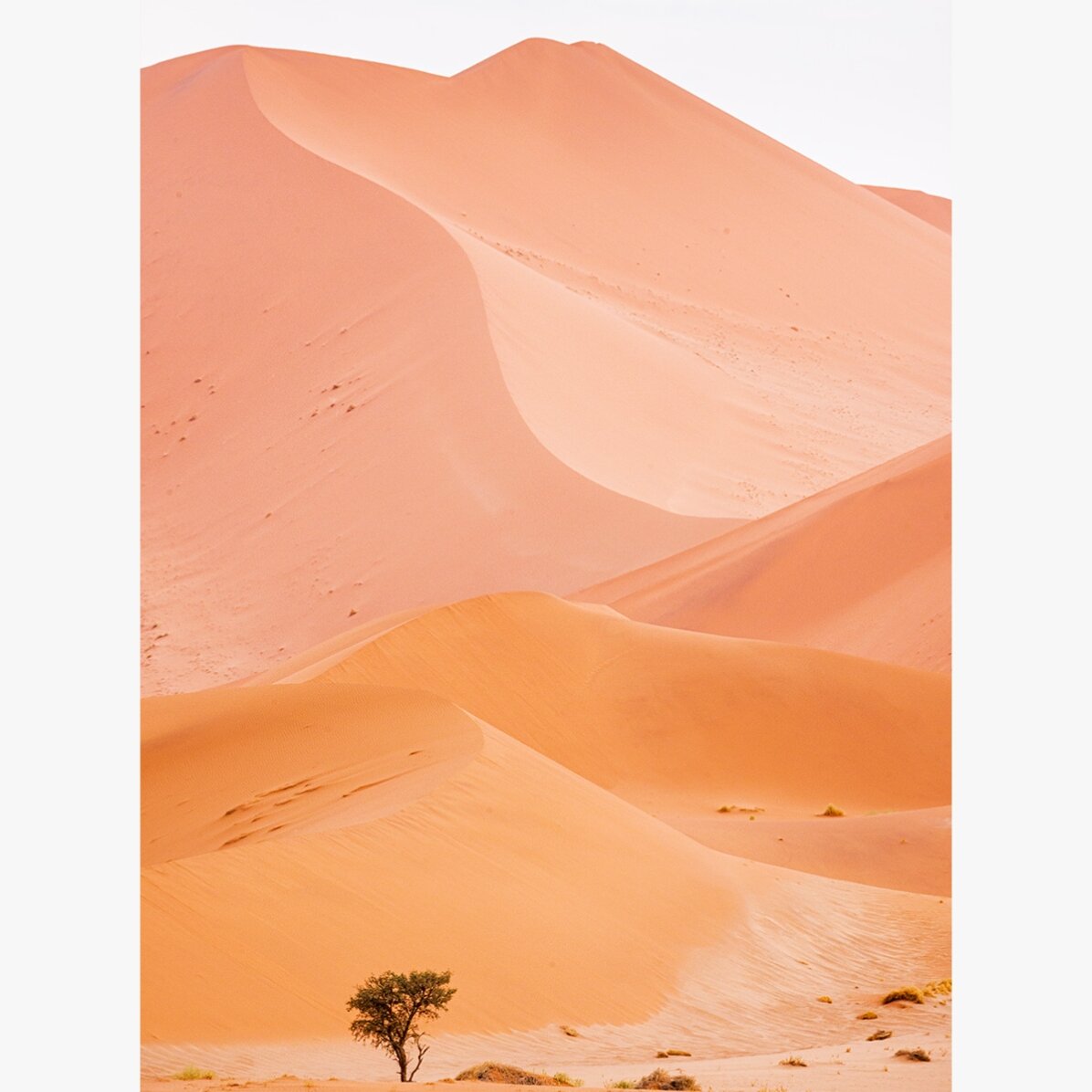 Póster «Dunes»
