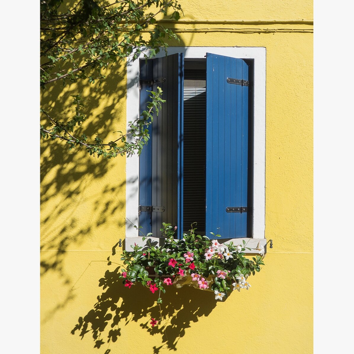 Póster «La ventana azul con flores»