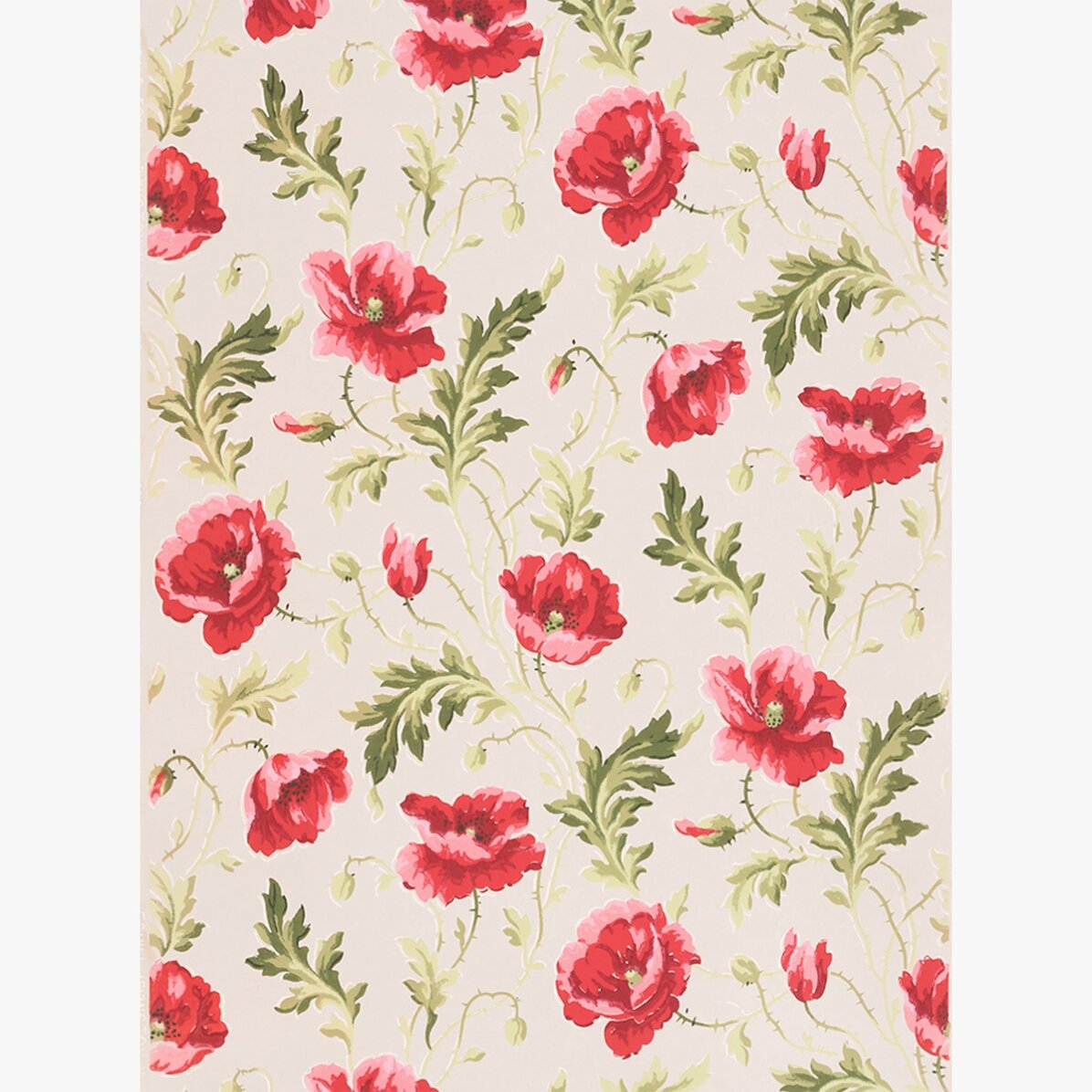Póster de flores rosas