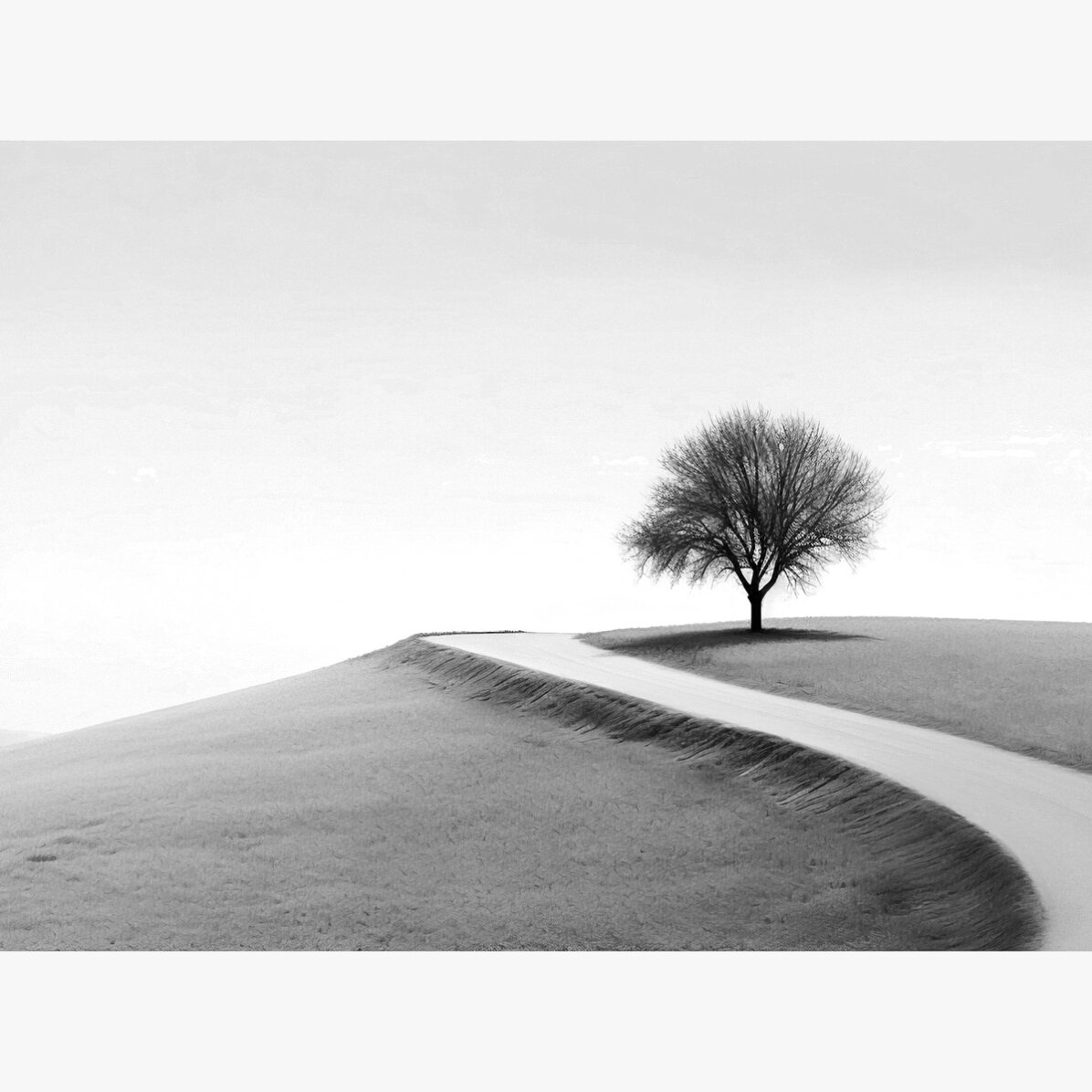 Póster apaisado - El árbol solitario