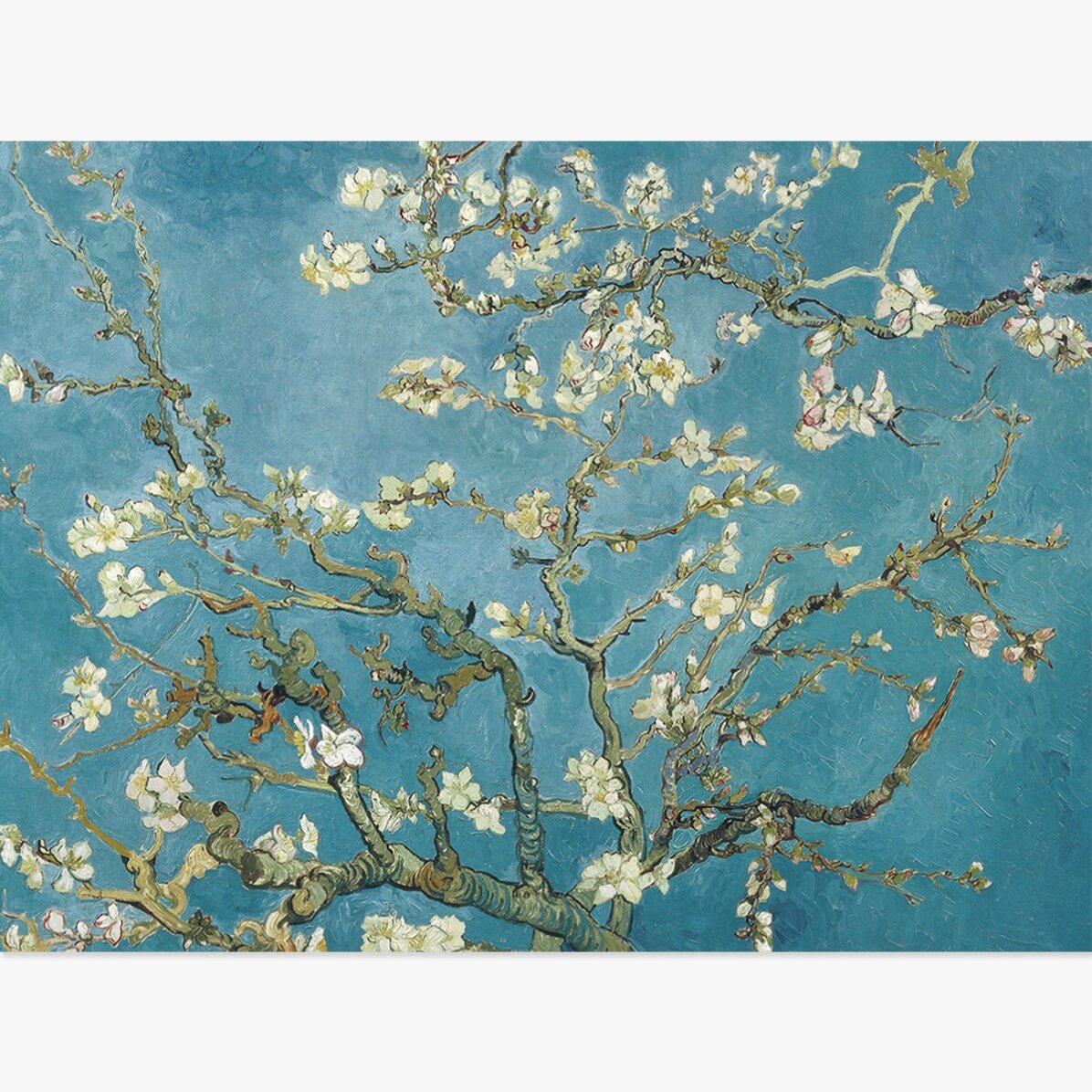 Póster apaisado - Vincent Van Gogh - Ramas de almendro en flor, 1890