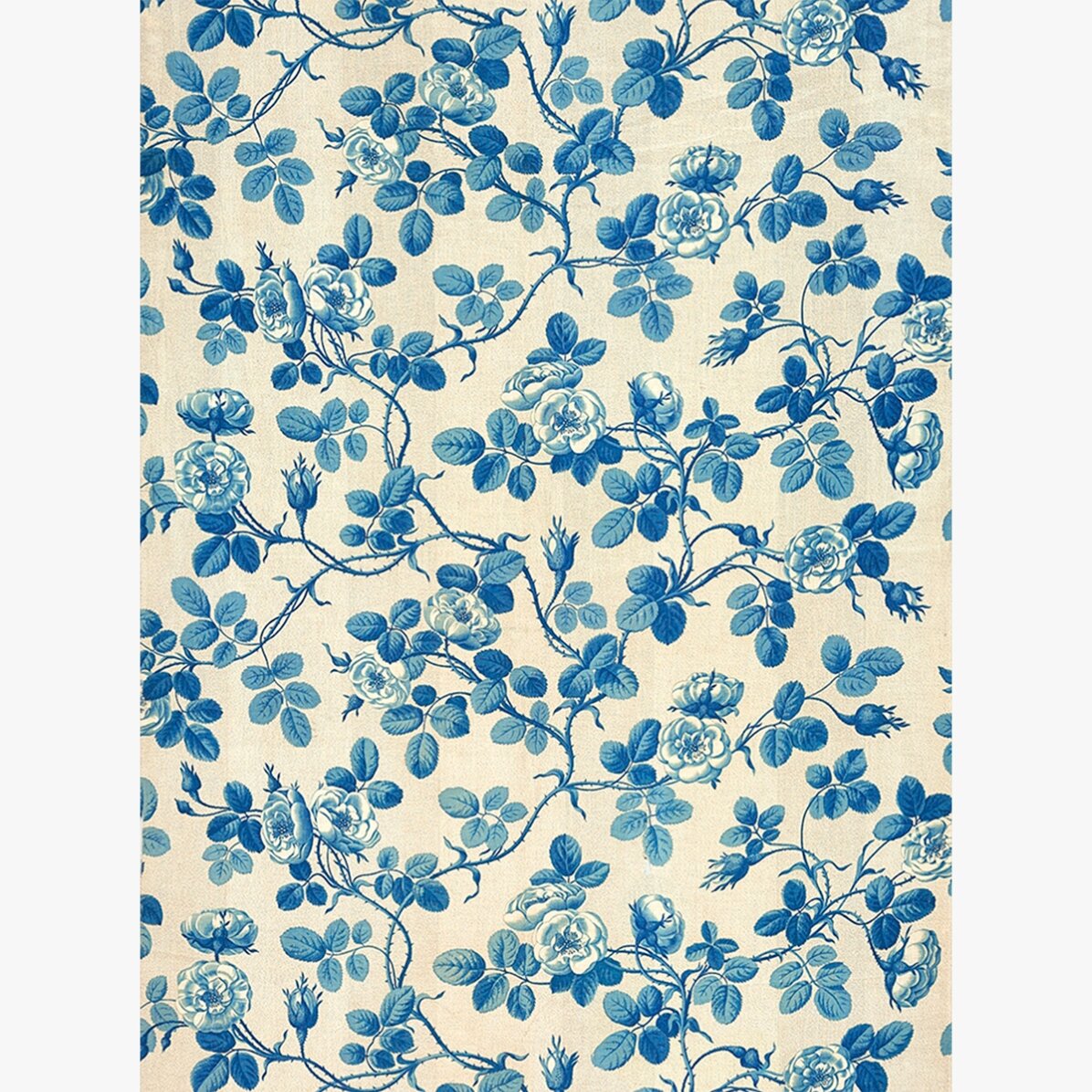 Póster «Plantas azules»