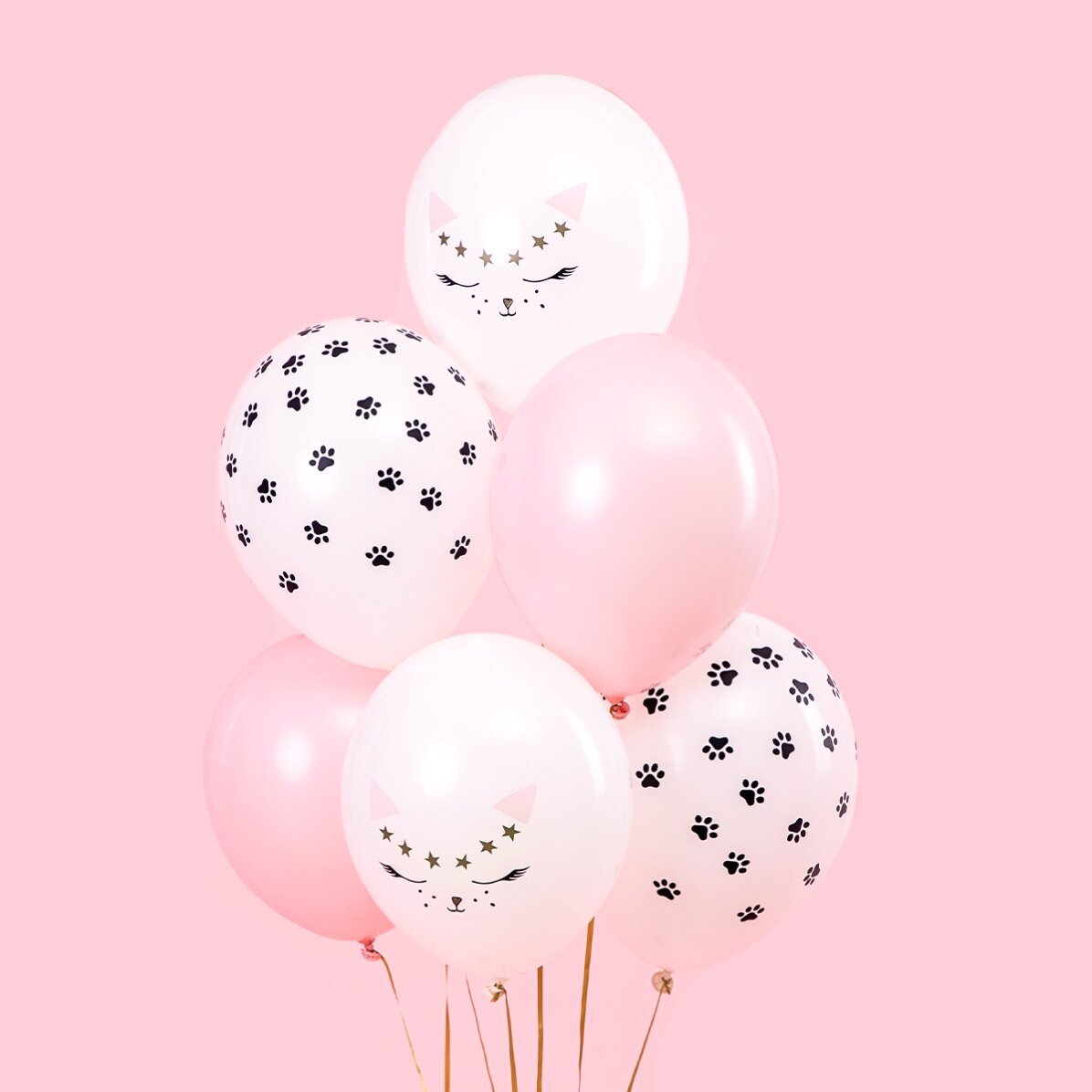 Lote de 6 globos surtidos - Gatitos