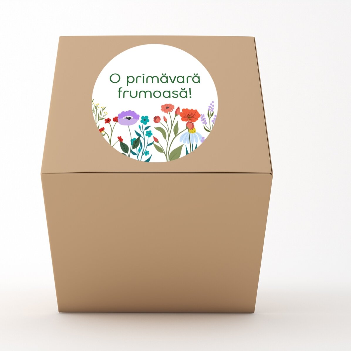 Lote de regalo para el 1 y el 8 de marzo - Corporativo