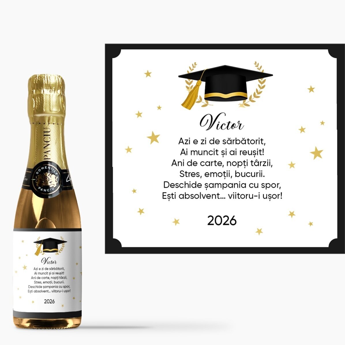 Lote de regalo para graduados: «La vida de adulto»