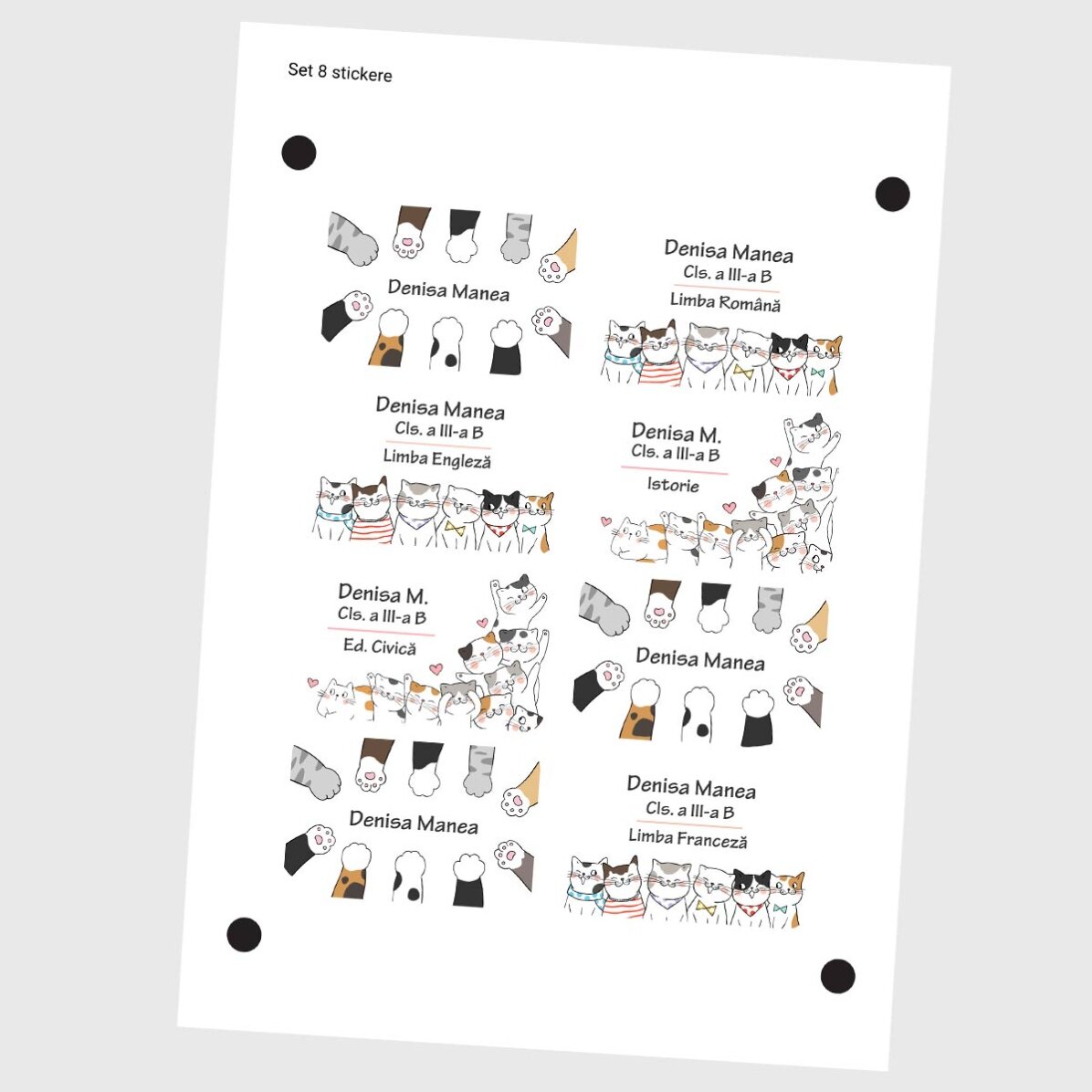 Lote de 8 pegatinas (etiquetas autoadhesivas) personalizadas para el colegio - Kitty