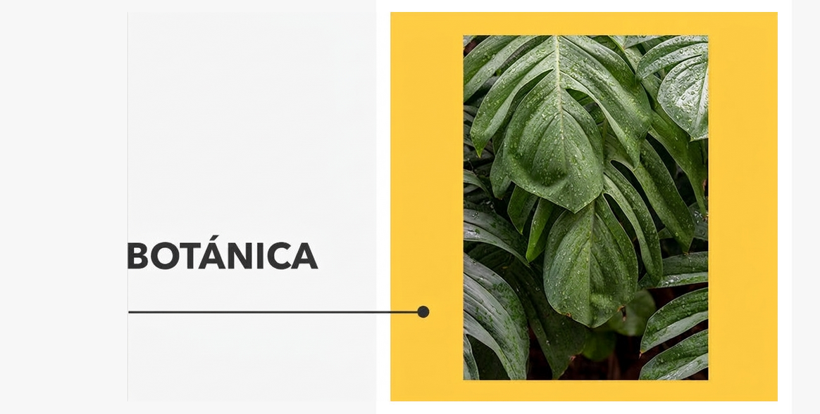 Pósters - Colección Botánica