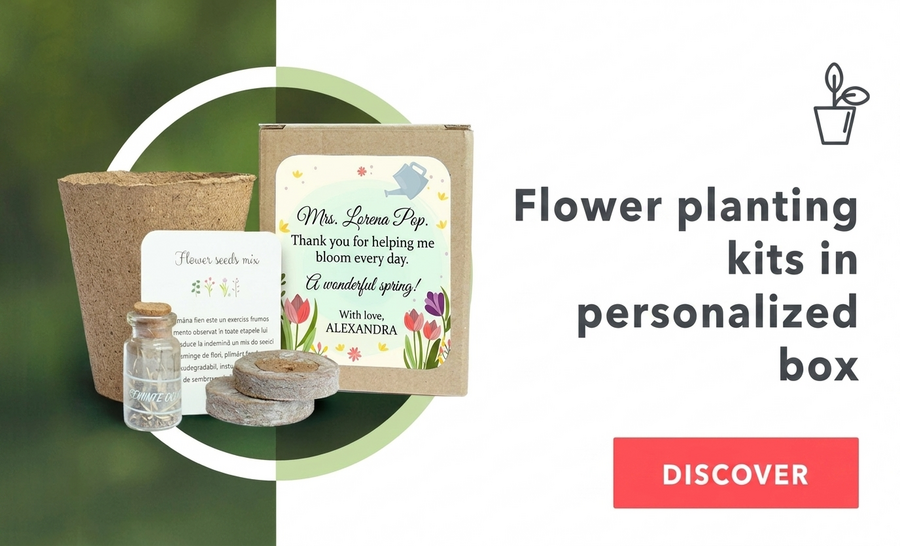 Kits para plantar flores en una cajita personalizada