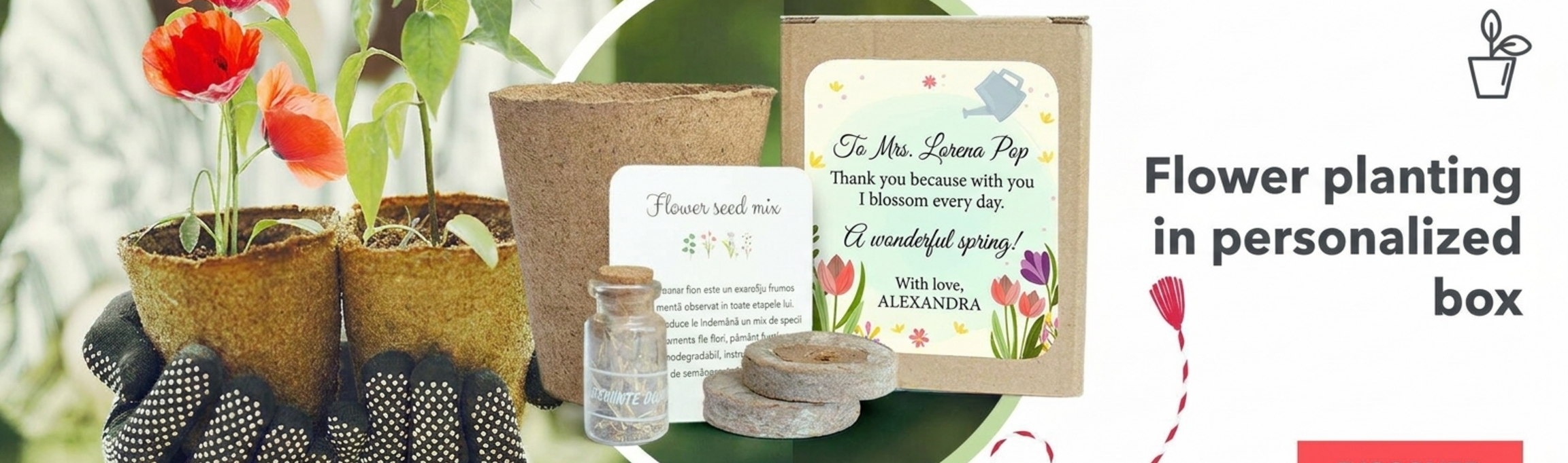 Kits para plantar flores en una cajita personalizada