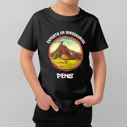Camiseta de algodón para niños personalizada con texto: «Experto en dinosaurios»