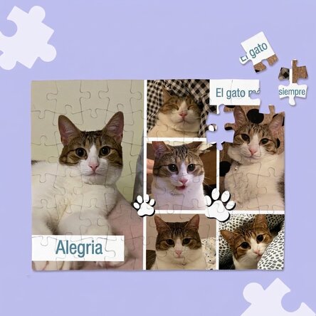 Rompecabezas personalizado con 6 fotos y un mensaje - Animalute