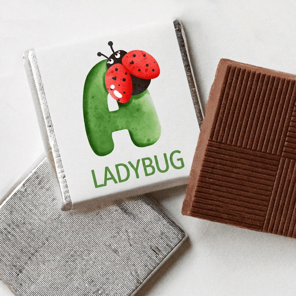 Mini tableta de chocolate personalizada con nombre e inicial - Mariquita