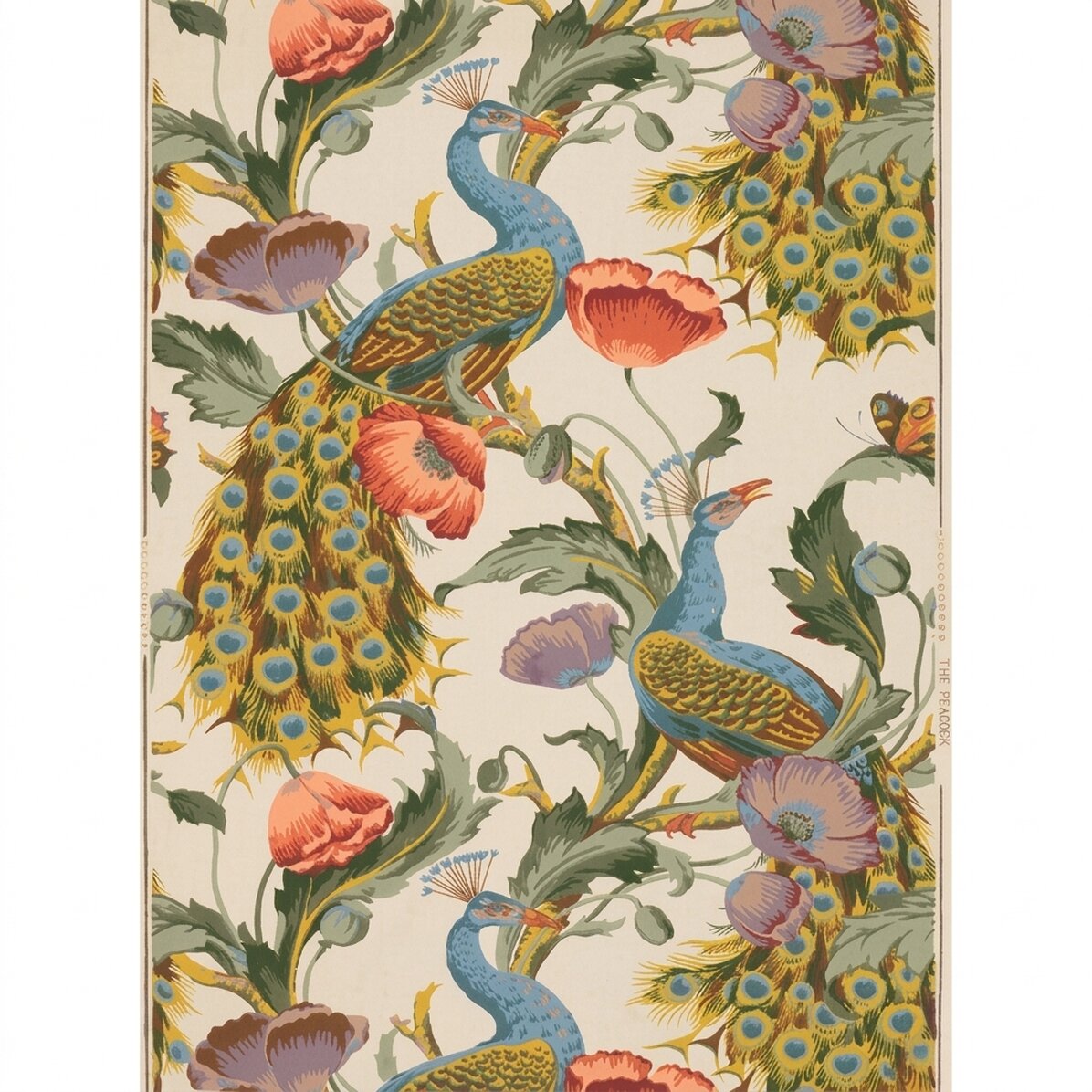 Póster vintage de pavos reales y amapolas