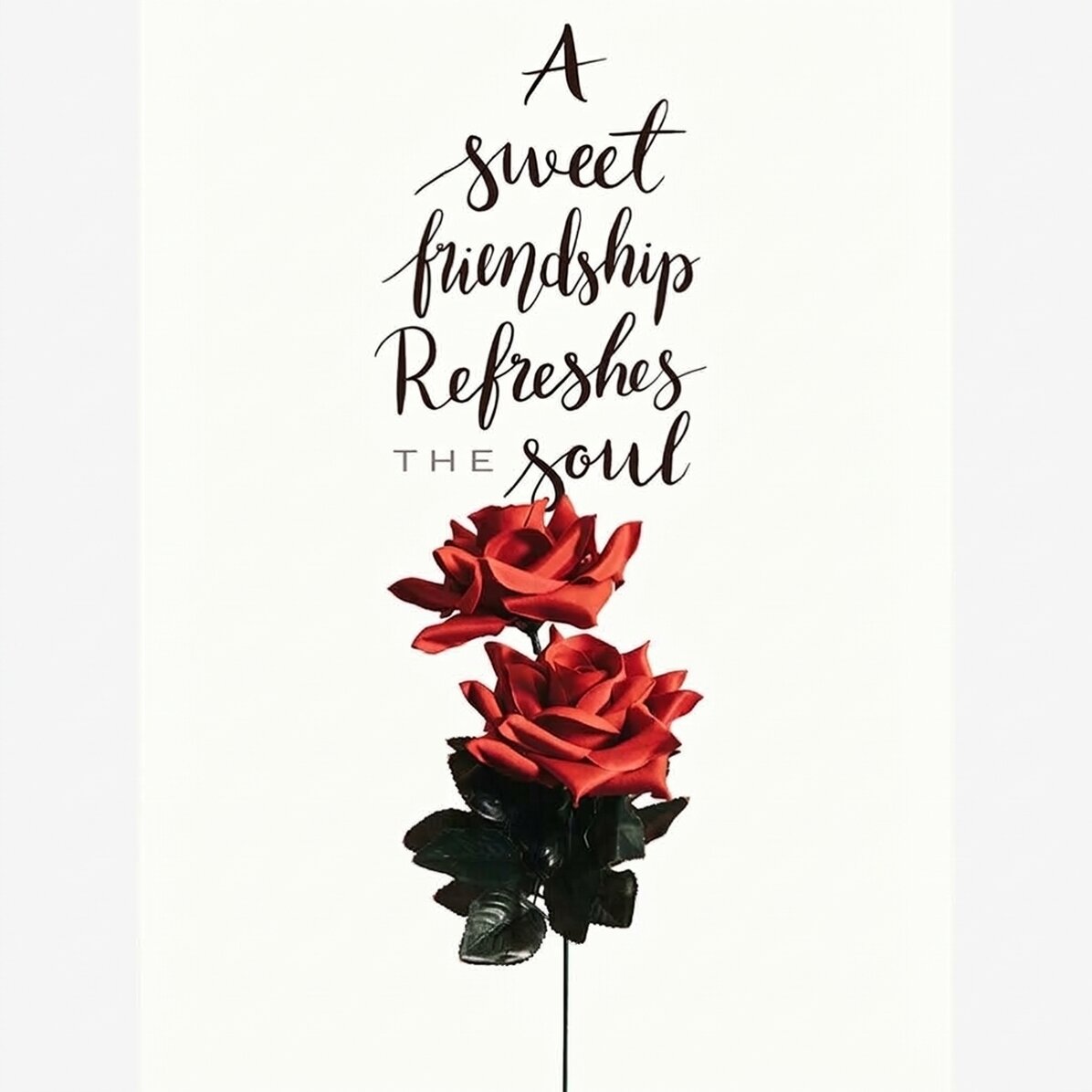 Póster «Amistad con rosas»