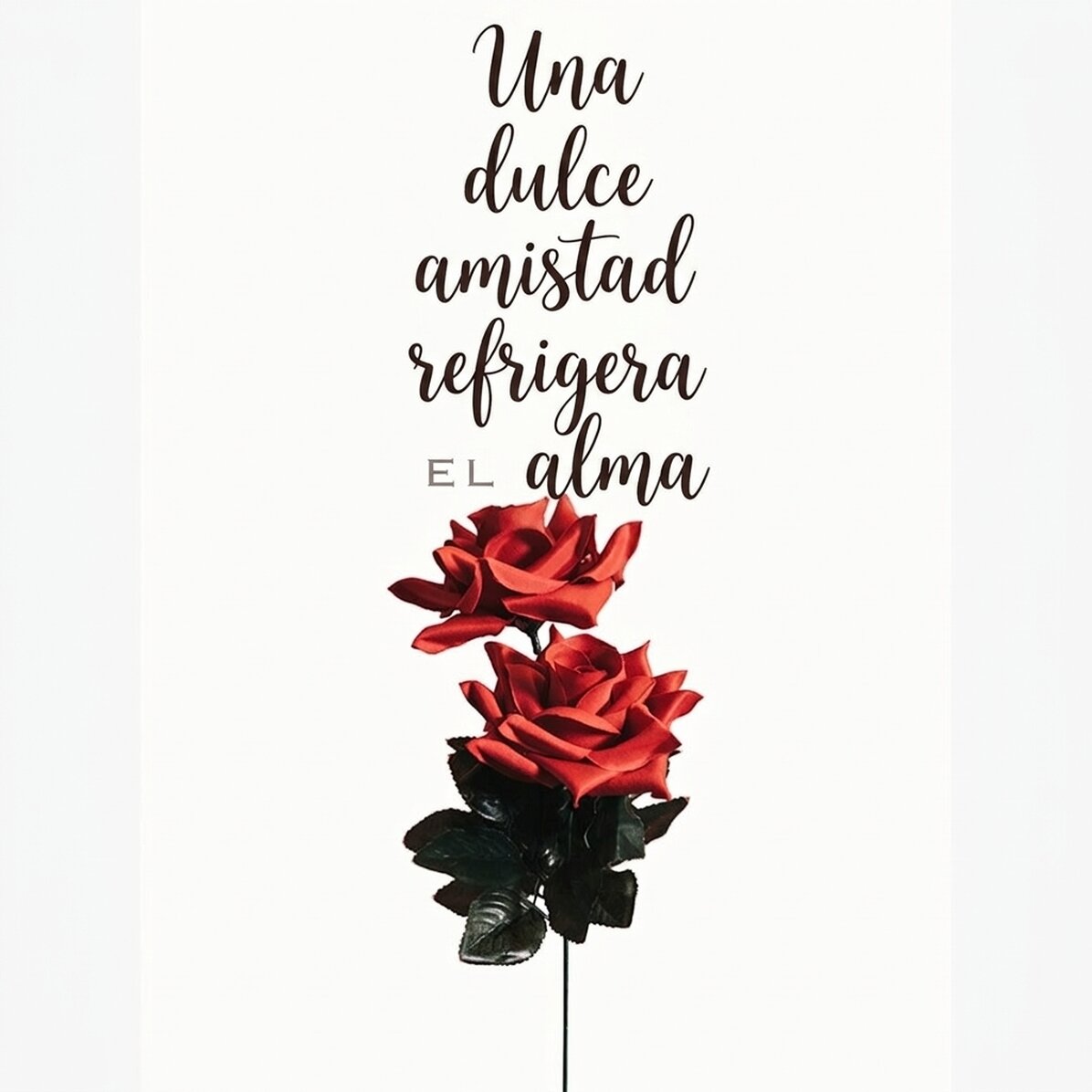 Póster «Amistad con rosas»