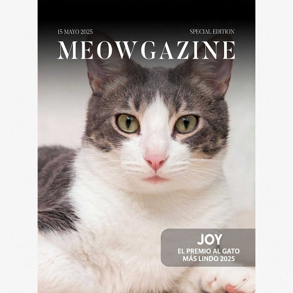 Póster personalizado con foto y texto - Meowgazine