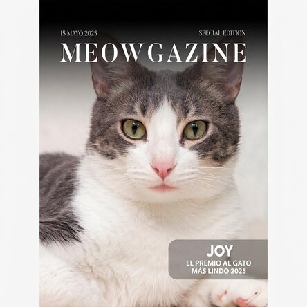 Póster personalizado con foto y texto - Meowgazine