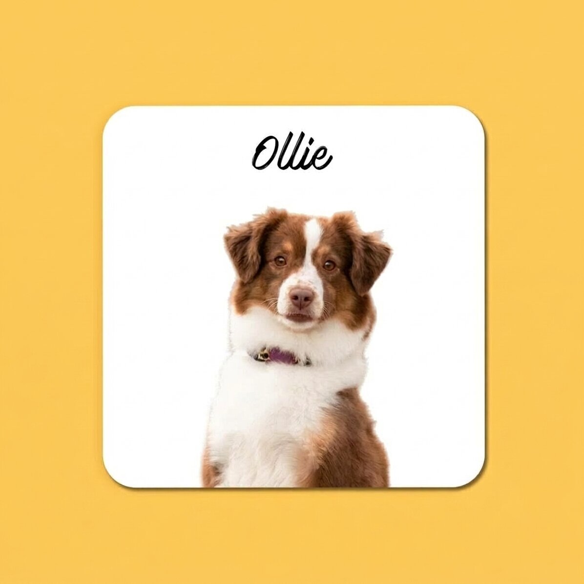 Portavasos personalizado con la foto y el nombre de tu mascota favorita
