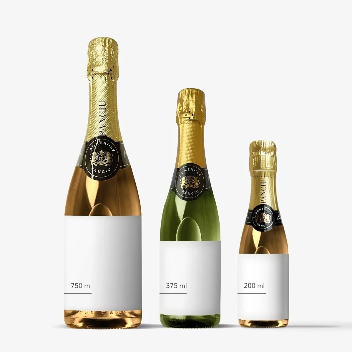 Medium bottle of sparkling wine personalised with text and a photo - Merry Christmas